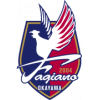 Team logo